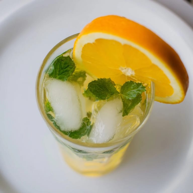 Homemade probiotic soda mocktail garnished with orange slices and fresh mint.  